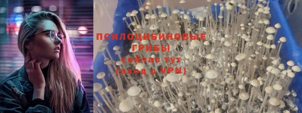 гидра Куйбышев